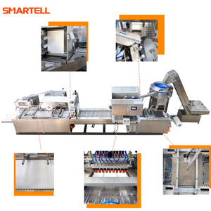 Máquina envasadora de ampolla de embalaje de alta velocidad de papel y película Full Auto SMT-4420
